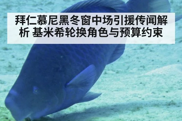 拜仁慕尼黑冬窗中场引援传闻解析 基米希轮换角色与预算约束